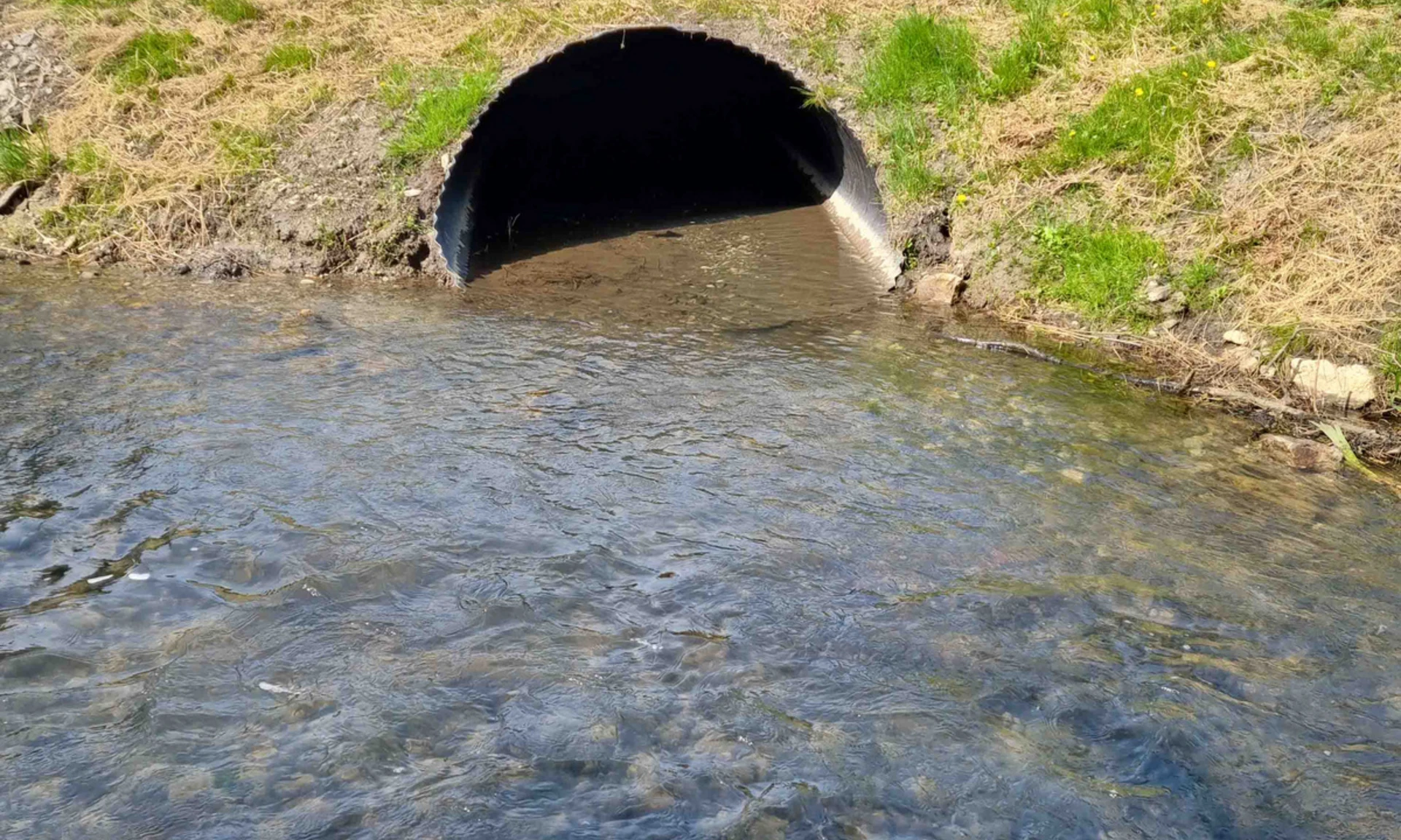 Blick auf Wellblechdurchlass im Süden von Lustenau.
