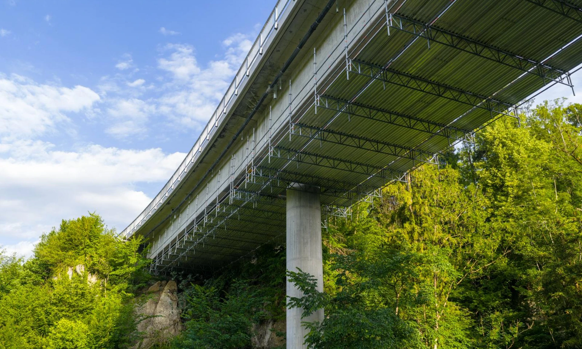 Generalsanierung Fluhbrücke, Egg: Ansicht von unten auf die Brücke und Bäume.