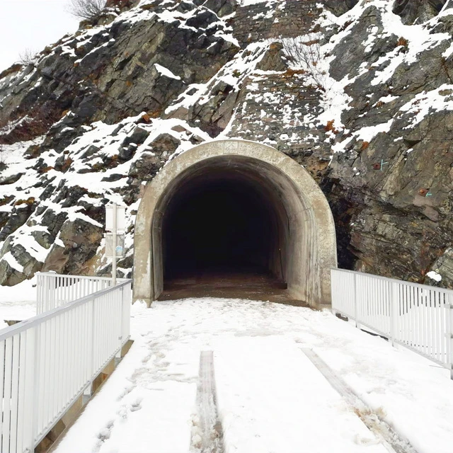 Sonderlösungen bei Ingenieursbau, Tunnel Eingang